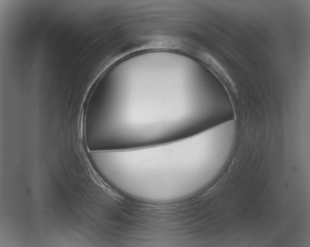 X0000084021276200702160817