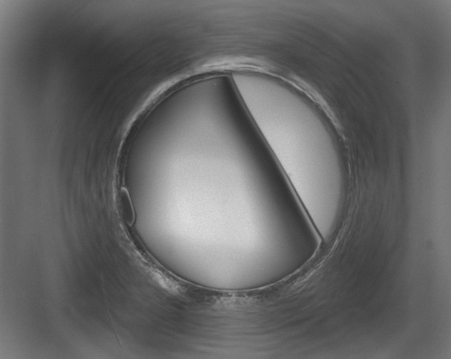 X0000084021277200702160817