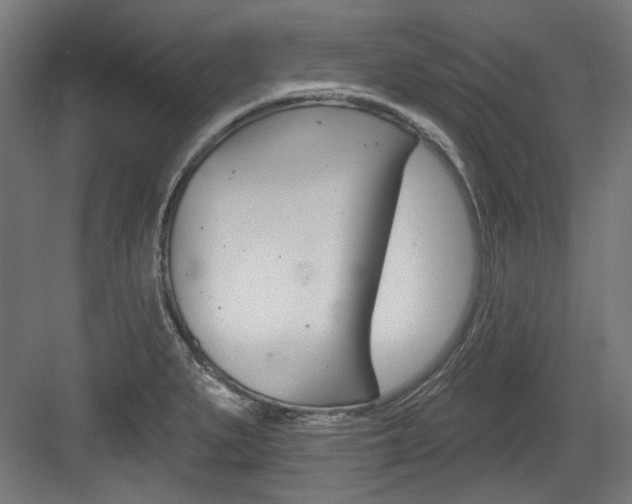 X0000084021279200702160817