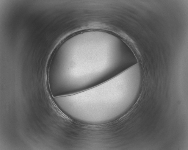 X0000084021280200702160817