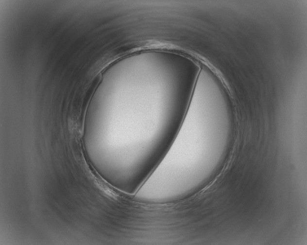 X0000084021281200702160817