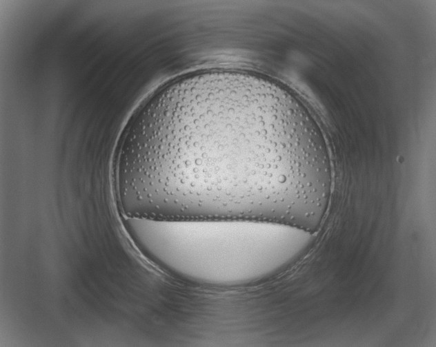 X0000084021283200702160817