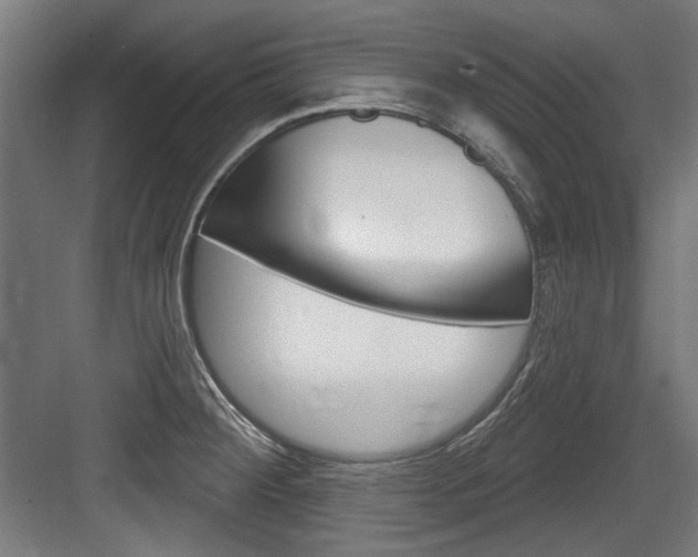 X0000084021284200702160817