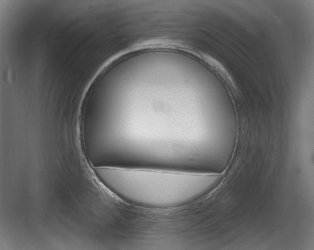 X0000084021288200702160817