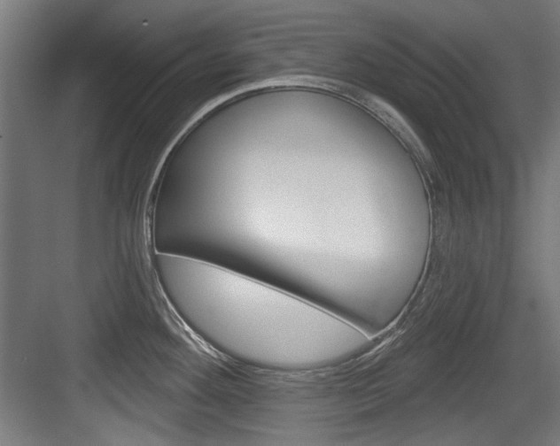 X0000084021292200702160816