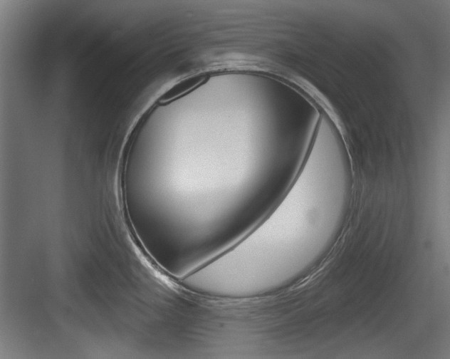 X0000084021293200702160816
