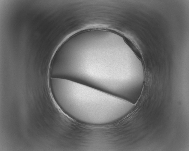 X0000084021295200702160816