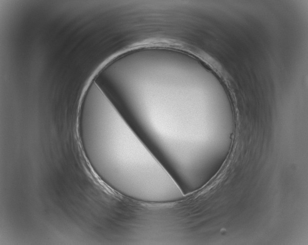 X0000084021296200702160816