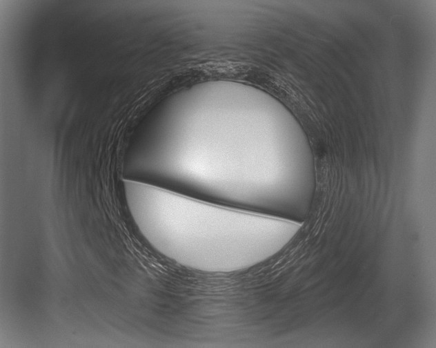 X0000084021297200702160816