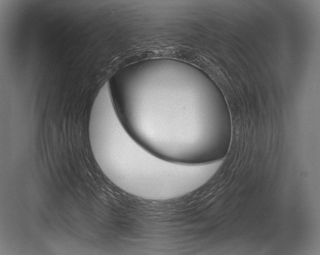 X0000084021298200702160816