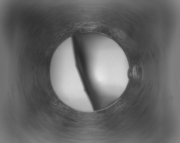 X0000084021299200702160816