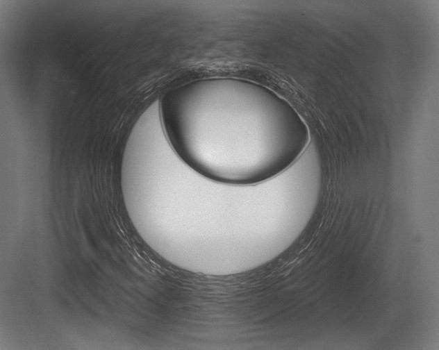 X0000084021300200702160816