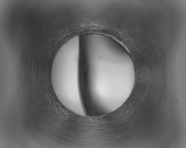 X0000084021301200702160816