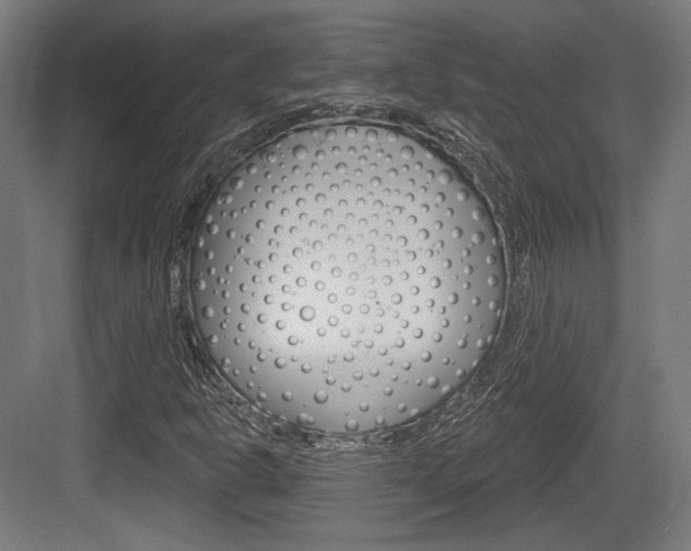 X0000084021302200702160816