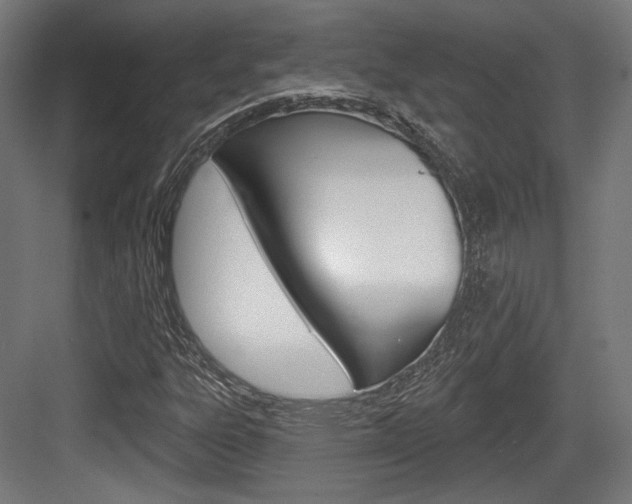 X0000084021303200702160816