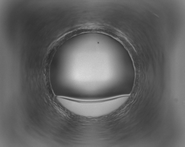 X0000084021304200702160816