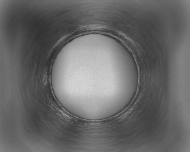 X0000084021306200702160816
