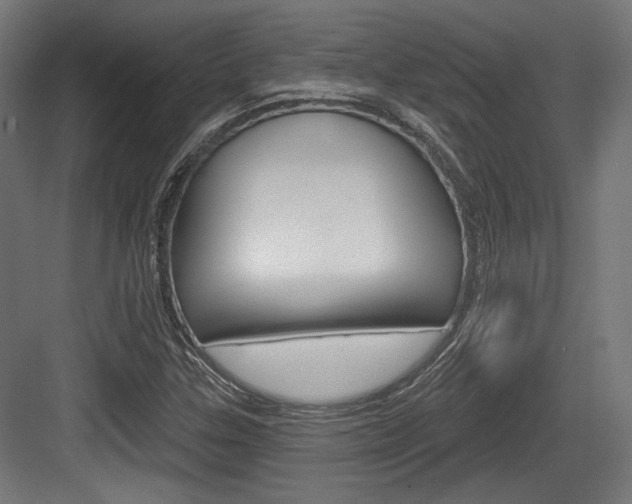 X0000084021307200702160816