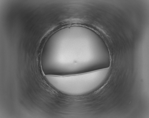 X0000084021309200702160816