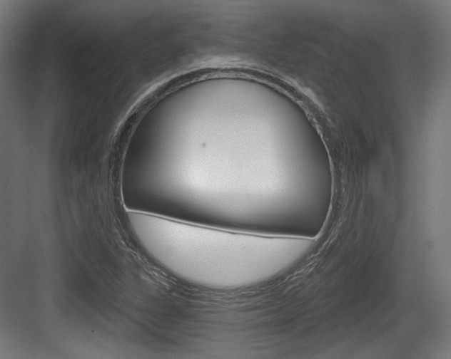 X0000084021311200702160816
