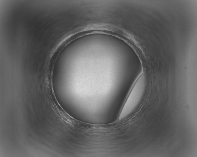 X0000084021312200702160816