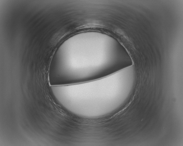 X0000084021313200702160816