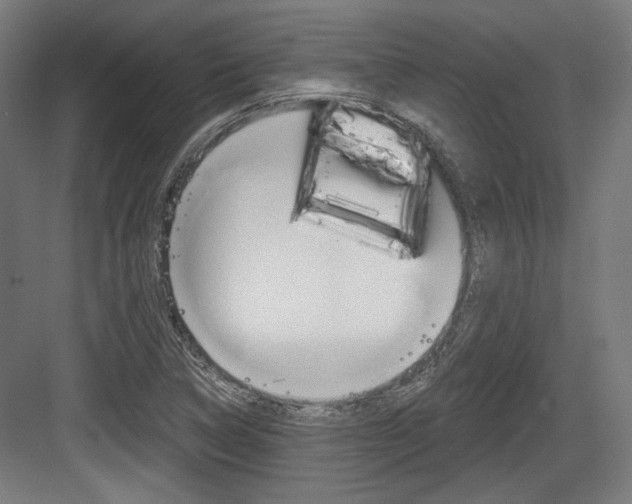 X0000084021314200702160816