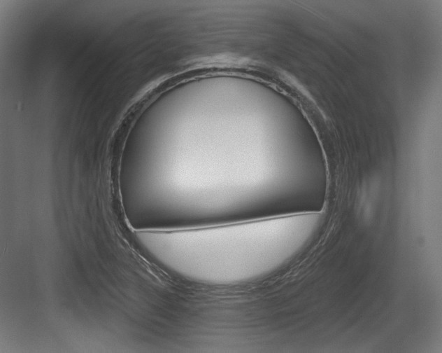 X0000084021315200702160816