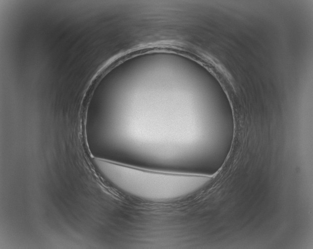 X0000084021316200702160816