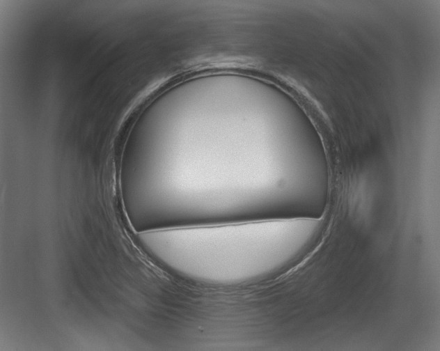 X0000084021317200702160816