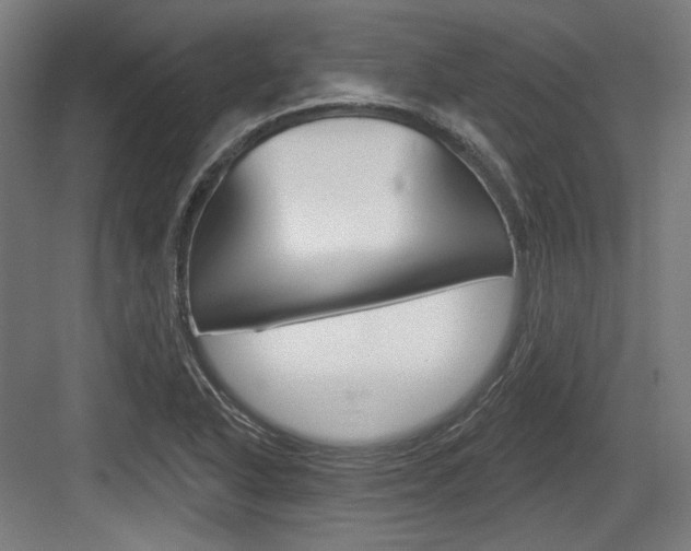X0000084021318200702160816