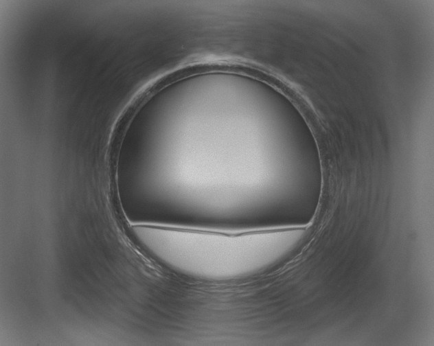 X0000084021319200702160816