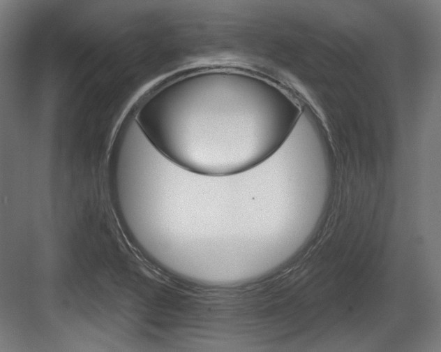 X0000084021320200702160816