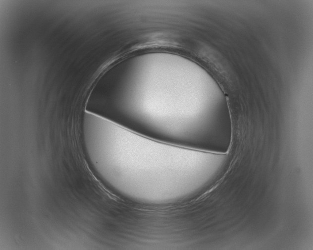 X0000084021321200702160816