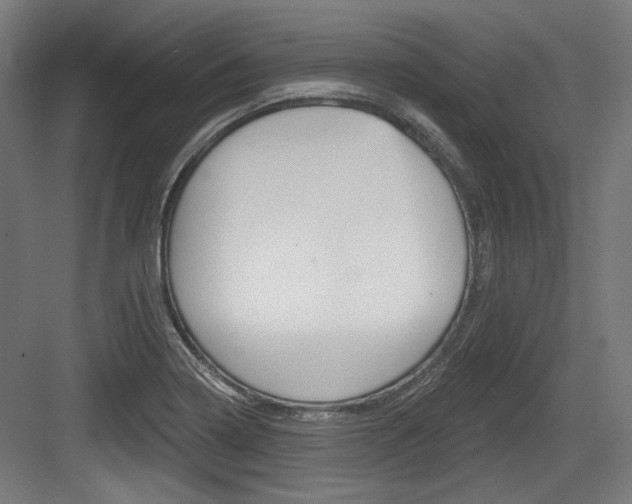 X0000084021322200702160816