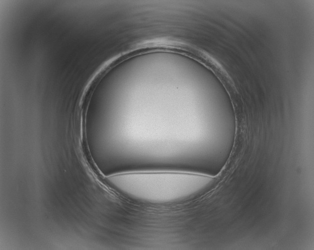 X0000084021323200702160816