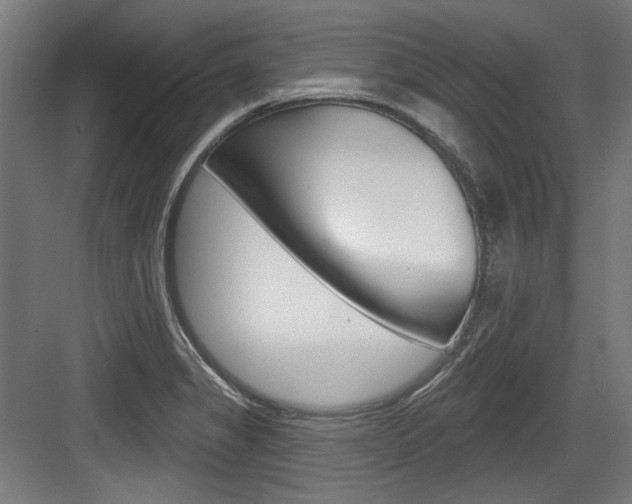 X0000084021325200702160816
