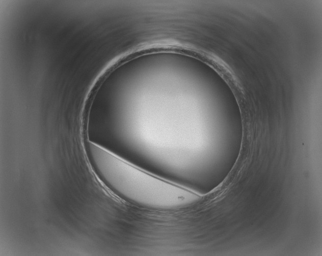 X0000084021326200702160816