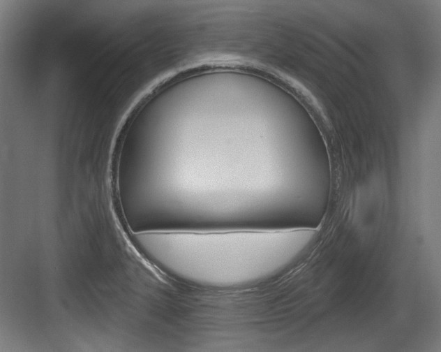 X0000084021327200702160816