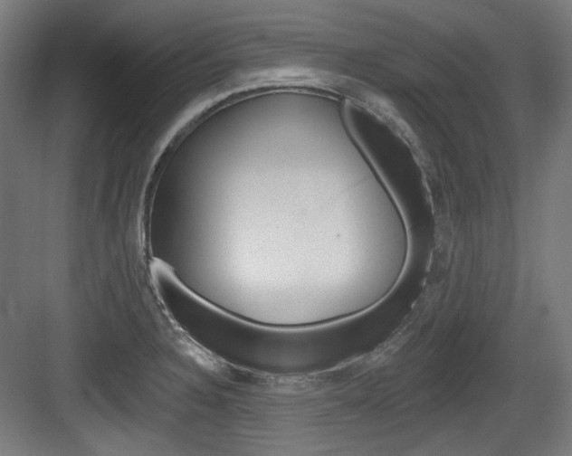 X0000084021328200702160816