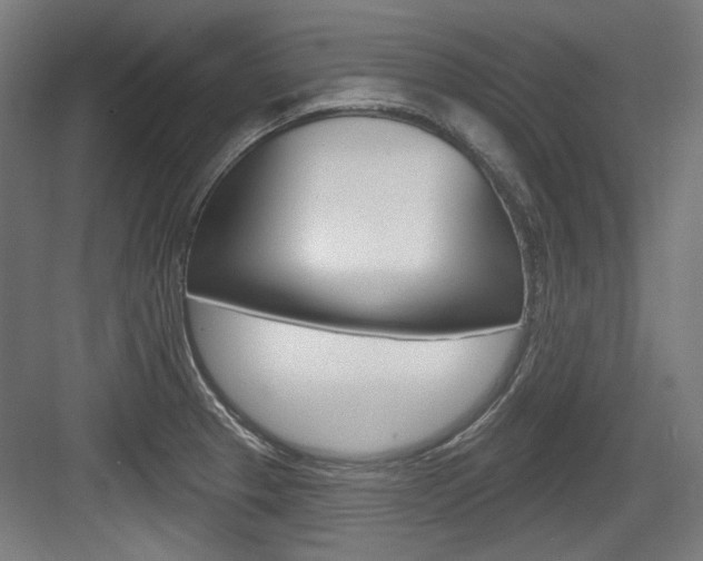 X0000084021329200702160816