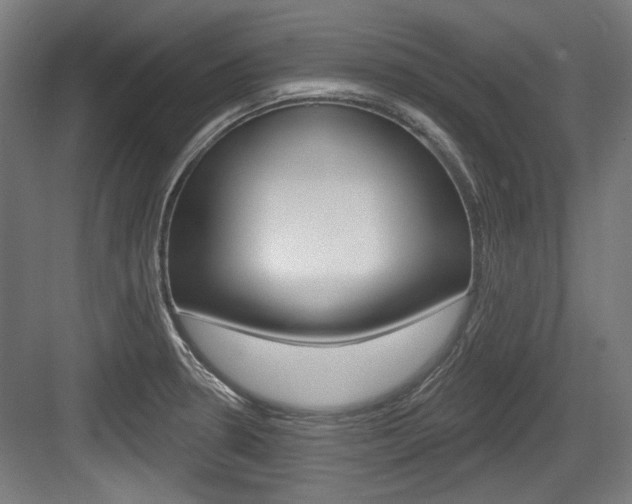 X0000084021330200702160816