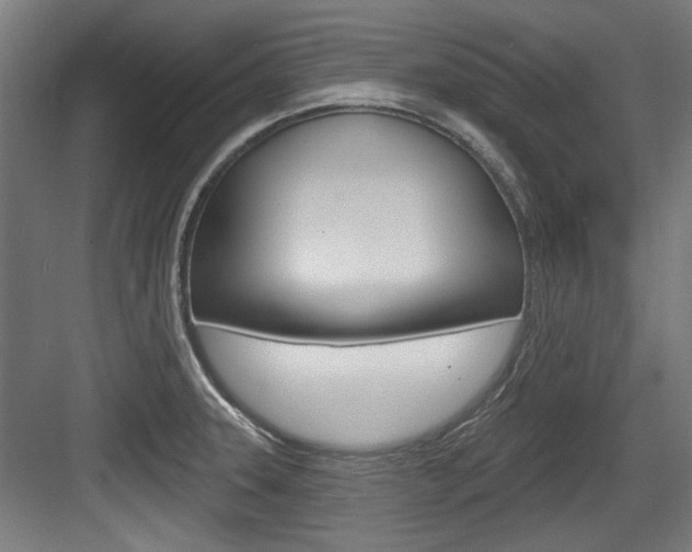 X0000084021331200702160816