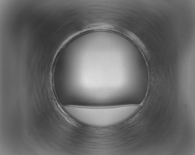 X0000084021332200702160816