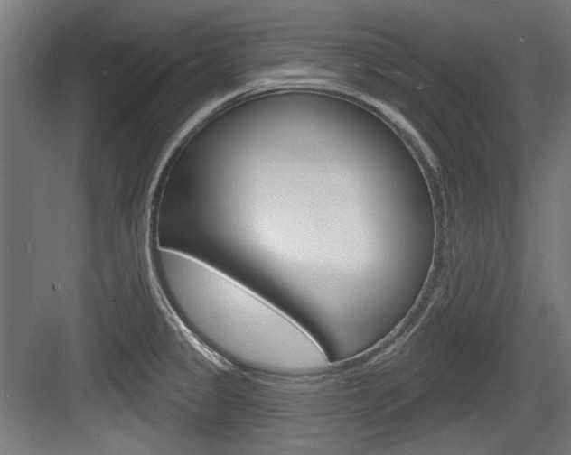 X0000084021333200702160816
