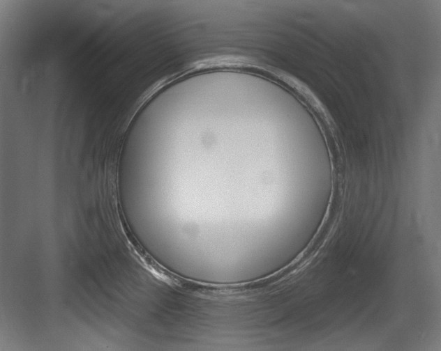 X0000084021337200702160816