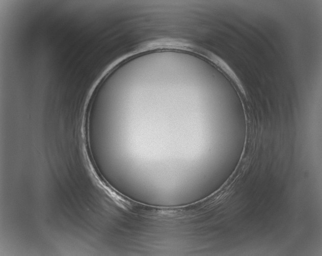X0000084021339200702160816