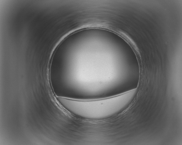 X0000084021340200702160816
