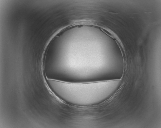 X0000084021341200702160816