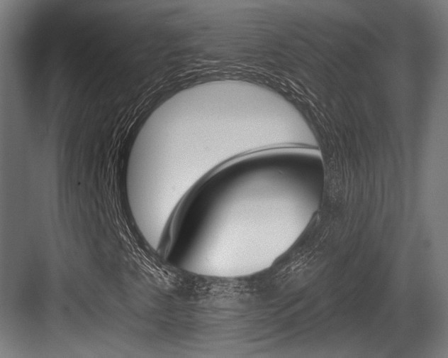 X0000084021345200702160816